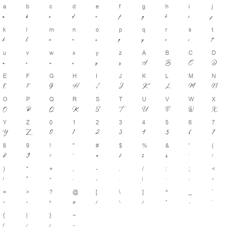 amsterdam signature regular Character Map
