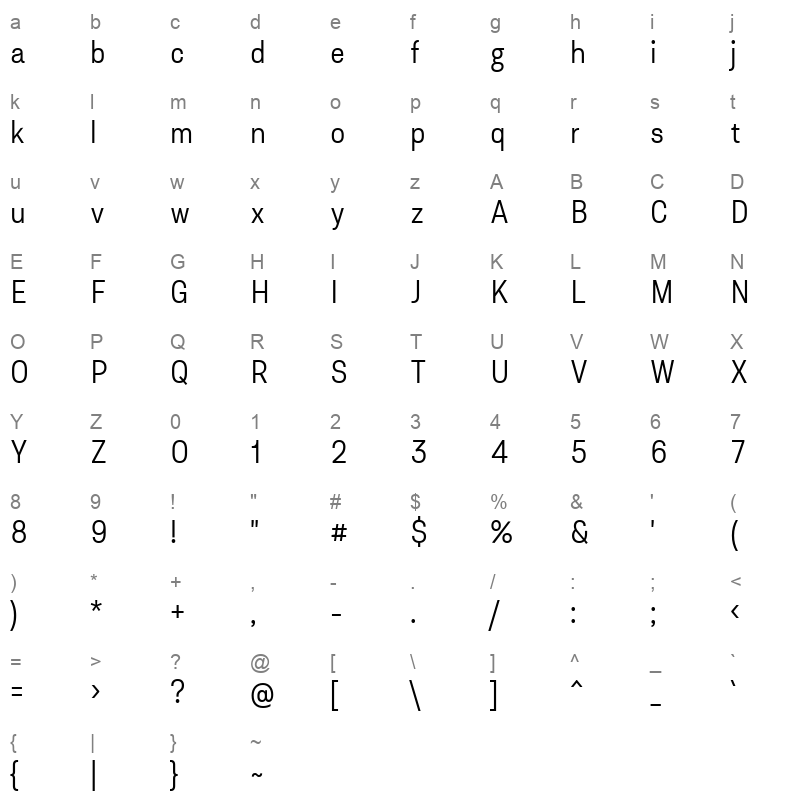 asket narrow light Character Map
