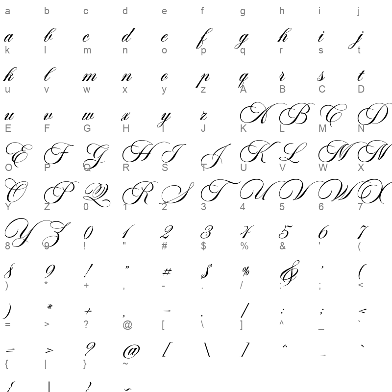 aston script pro bold Character Map