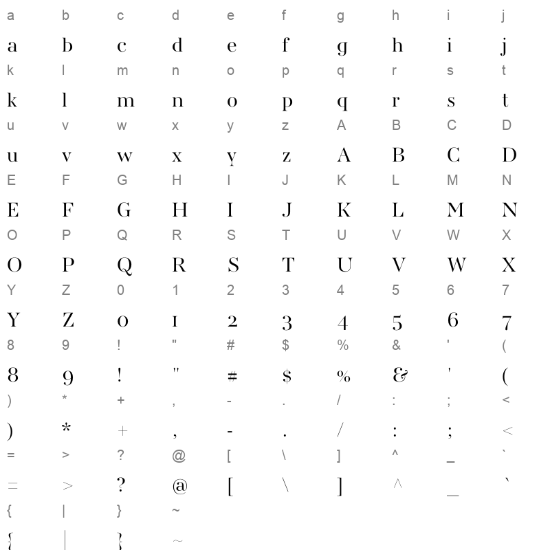 awconqueror std didot Character Map