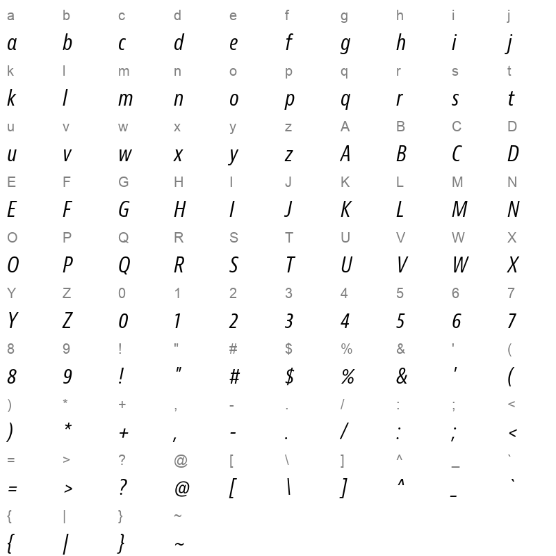 bernina sans condensed regular italic Character Map