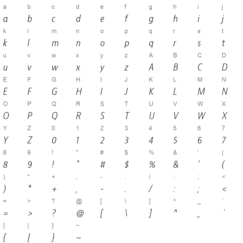 bernina sans narrow light italic Character Map