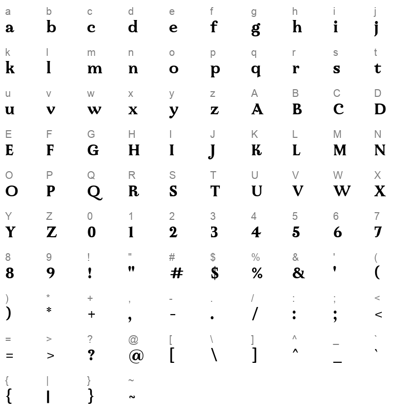 Raigarh Bold Character Map