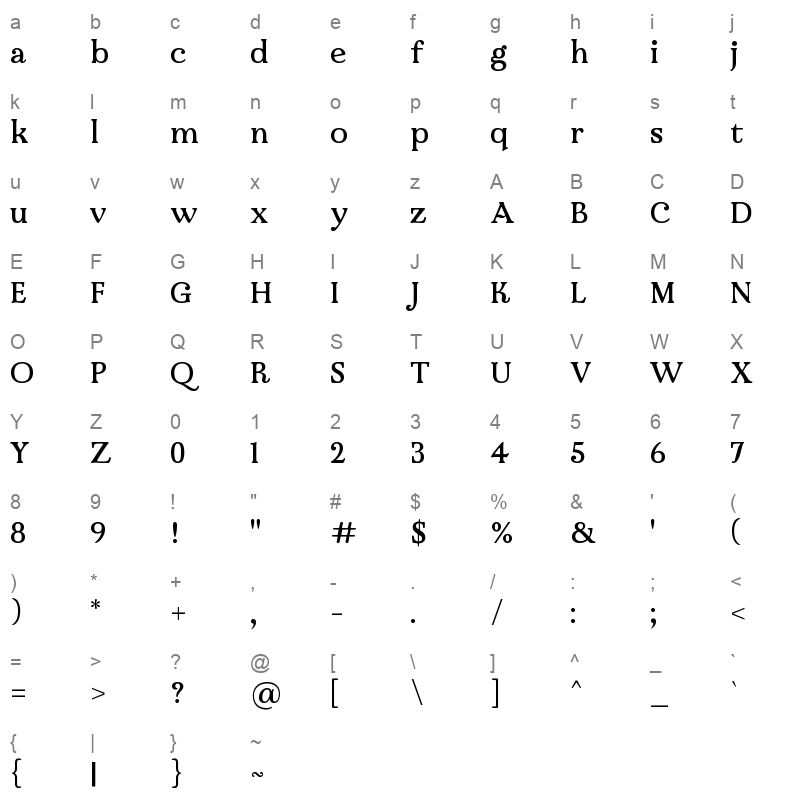 Raigarh VF Character Map