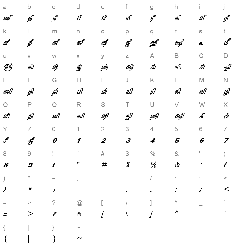 Tam Shakti 31 Normal Character Map
