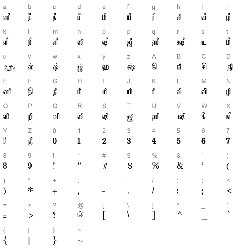 Tam Shakti 41 Normal Character Map