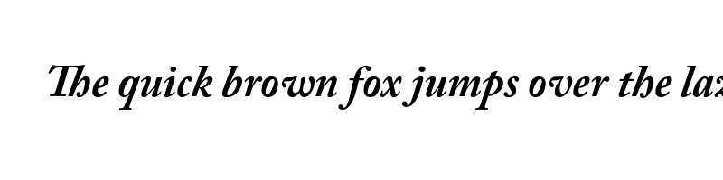 font preview of adobe caslon pro bold italic