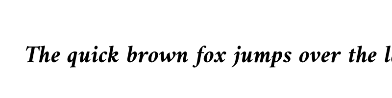 font preview of amiri bold italic