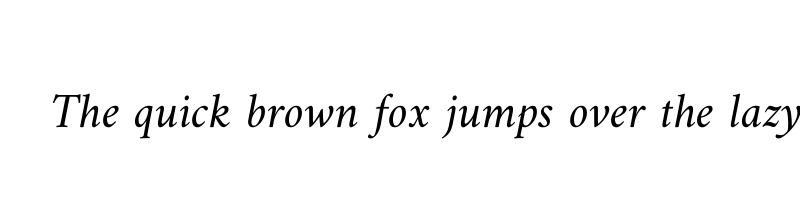 font preview of amiri italic