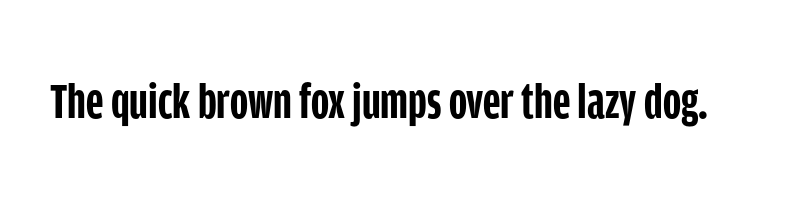 font preview of amplitude compressed bold