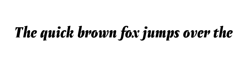 font preview of amster black