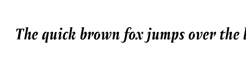 font preview of amster bold italic