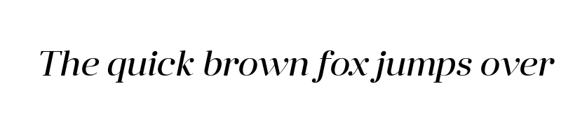 font preview of anglecia pro display italic