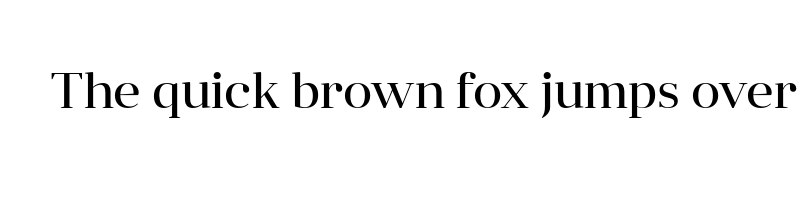 font preview of anglecia pro display regular