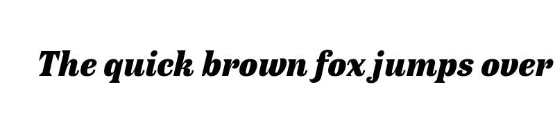font preview of antica black italic