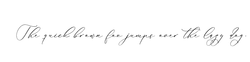 font preview of anticka whitnes