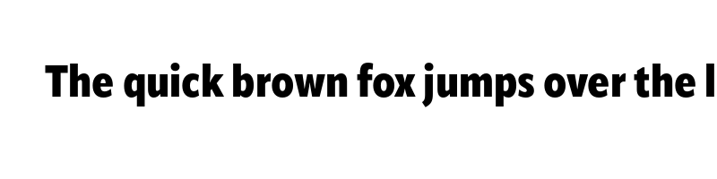 font preview of apparat condensed black