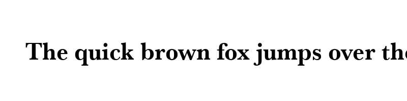 font preview of basker t narrow bold