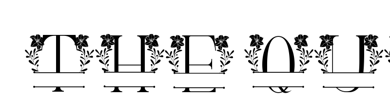 font preview of beauty lily line monogram