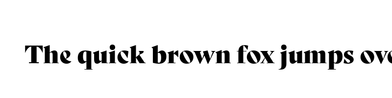 font preview of bely display