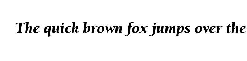 font preview of berkeley black italic