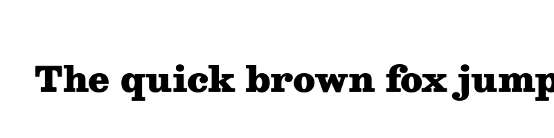 font preview of besley black