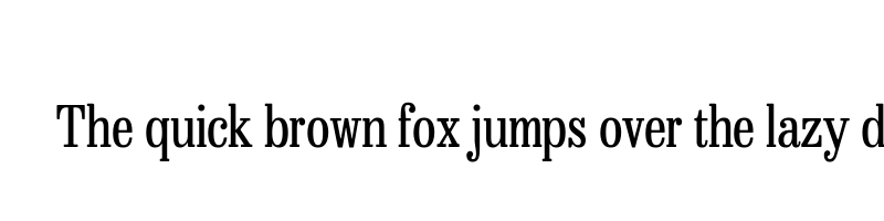 font preview of besley condensed book