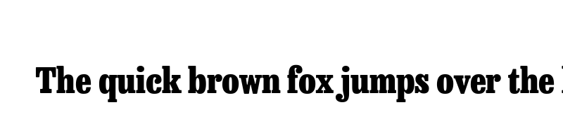 font preview of besley condensed heavy