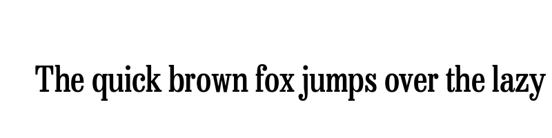 font preview of besley condensed medium