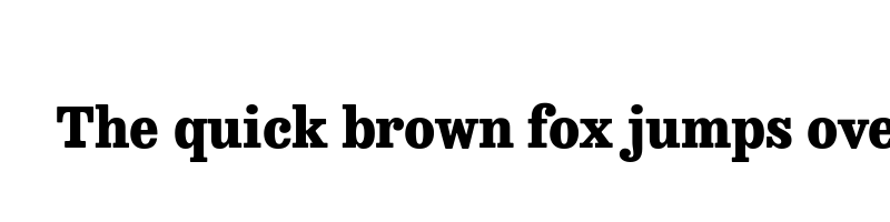 font preview of besley narrow heavy