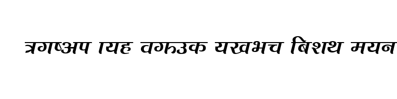font preview of Bisfot Regular