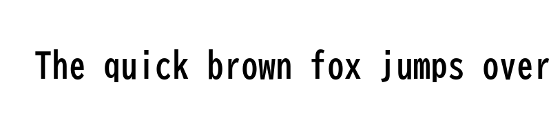font preview of biz udgothic bold