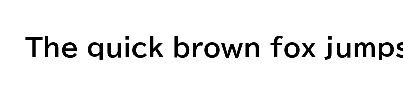 font preview of biz udpgothic bold
