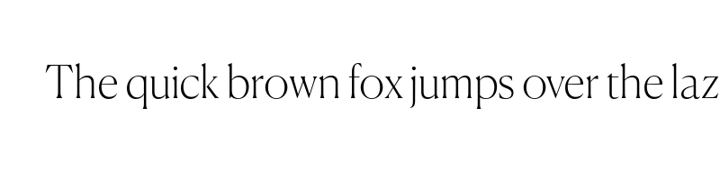 font preview of Canela Thin Trial