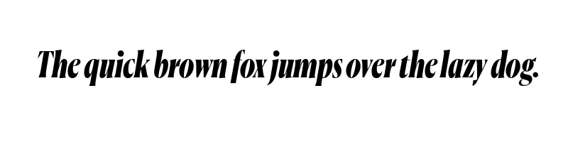 font preview of CanelaCondensed BlackItalic Trial