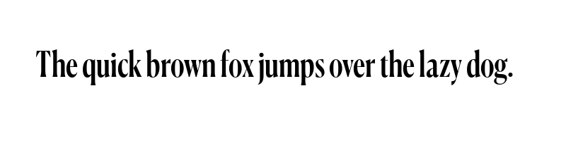 font preview of CanelaCondensed Medium Trial