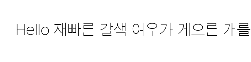 font preview of DX Thin