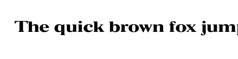font preview of FFF Oezguer Guendem Bold
