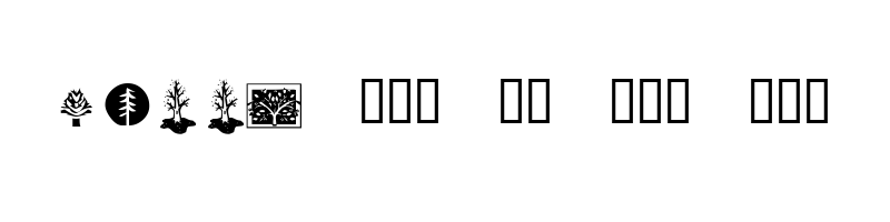 font preview of KR Trees Regular