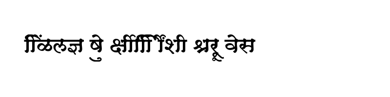 font preview of SHREE DEV 1003 Regular