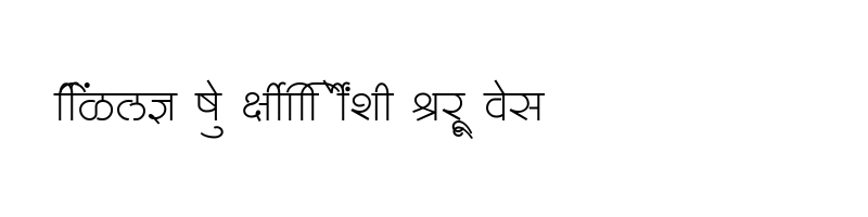 font preview of SHREE DEV7 3593 Regular