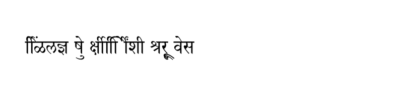 font preview of SHREE DEV7 4541 Regular