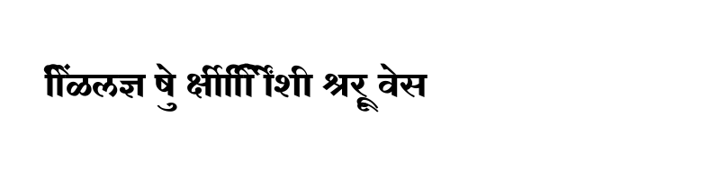 font preview of SHREE DEV7 4642 Regular