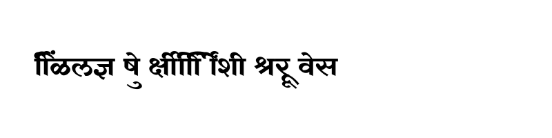 font preview of SHREE DEV7 4909 Regular