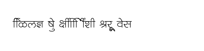 font preview of SHREE DEV7 4912 Regular