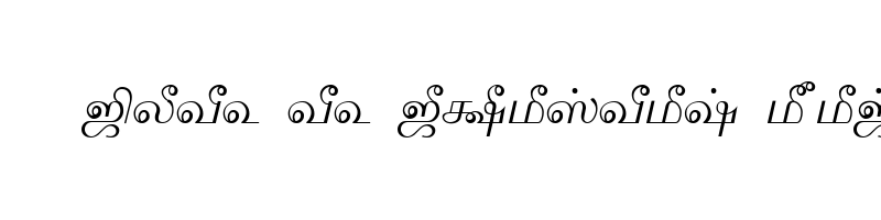 font preview of Tam Shakti 30 Normal