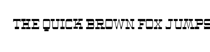 font preview of The New West