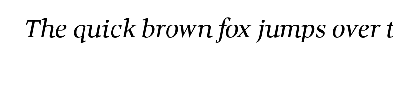 font preview of Wittgenstein Italic Regular