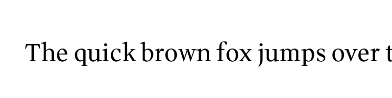 font preview of Wittgenstein[wght]